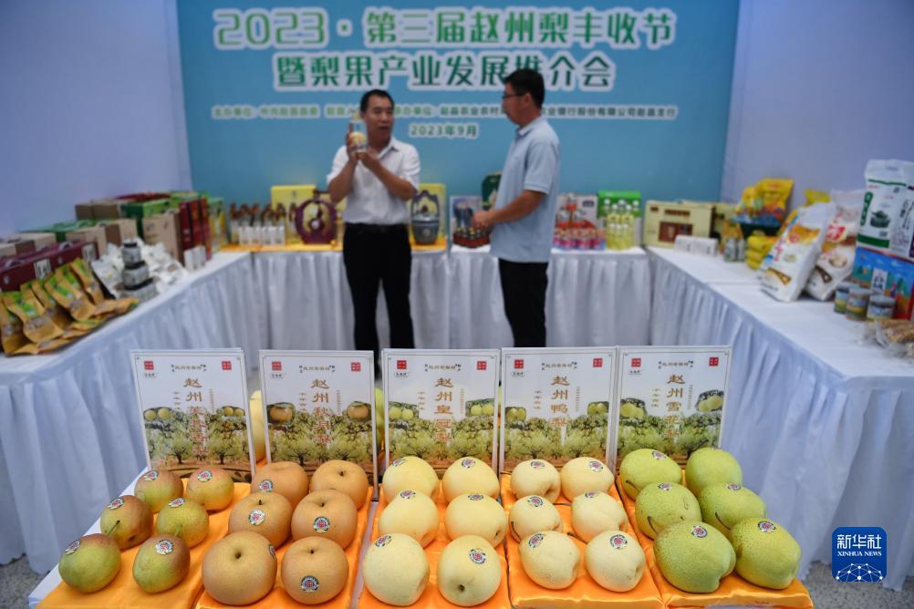 澳门梦幻城